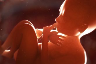 Placenta May Hide Early Warning Signs of Schizophrenia Risk : ScienceAlert