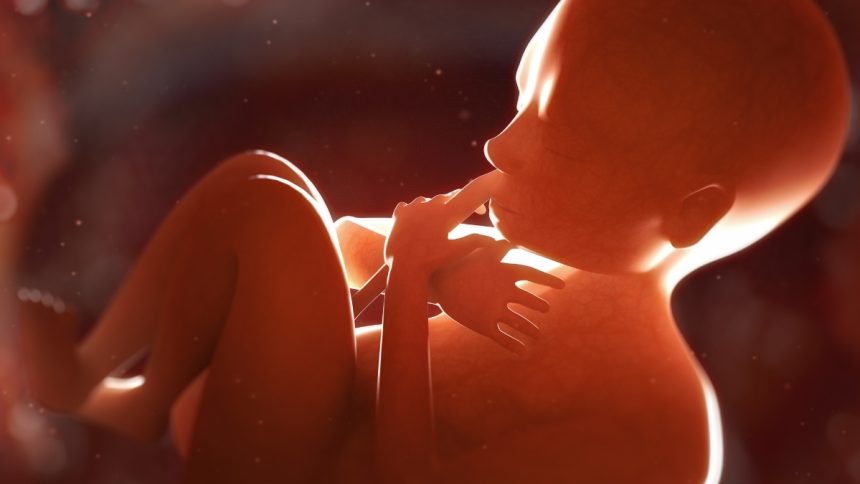 Placenta May Hide Early Warning Signs of Schizophrenia Risk : ScienceAlert