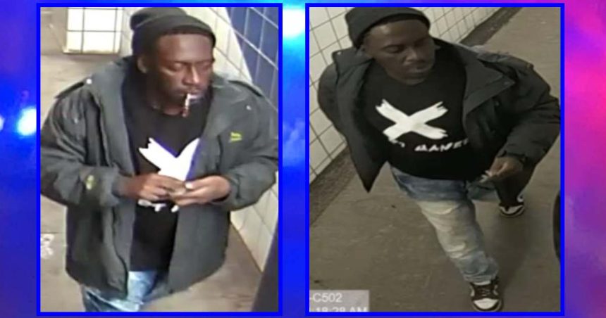 Police hunt suspect in robbery of ‘elderly’ Blue Line passenger