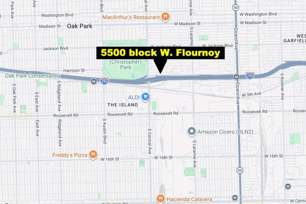 Police probe possible carjacking, murder of food delivery driver