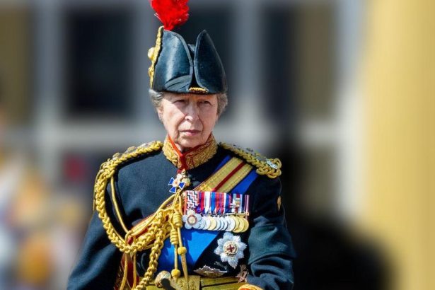 Princess Anne is Leading Royal Family’s ‘Secretive Back Andrew’ Campaign