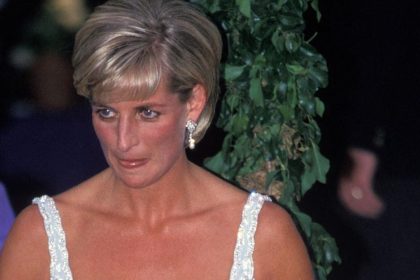 Princess Diana ‘Would Have Been Devastated’ Over Sons’ Estrangement