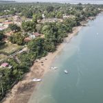 Proposed CDC-funded hep B trial in Africa unethical, WHO chief says