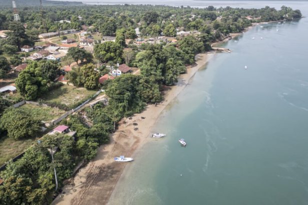 Proposed CDC-funded hep B trial in Africa unethical, WHO chief says