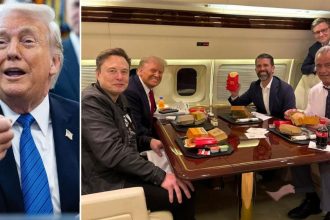 RFK Jr. Reveals Bizarre Reason Trump Enjoys Fast Food On The Road