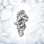 RNA strand that can almost self-replicate may be key to life’s origins