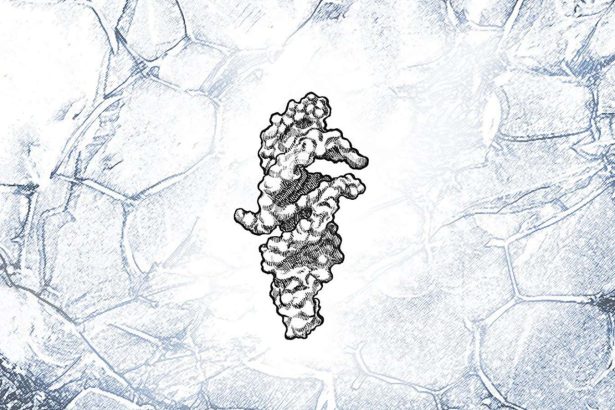 RNA strand that can almost self-replicate may be key to life’s origins