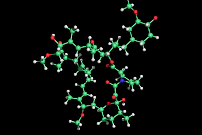 Rapamycin can add years to your life, or none at all – it’s a lottery