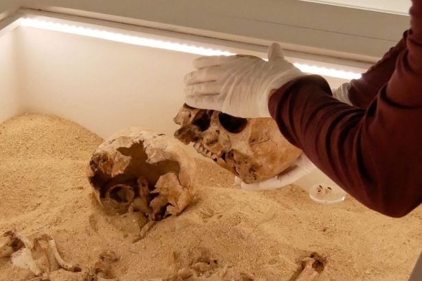 Rare Genetic Disease Discovered in Ancient Skeletal Embrace From The Ice Age : ScienceAlert