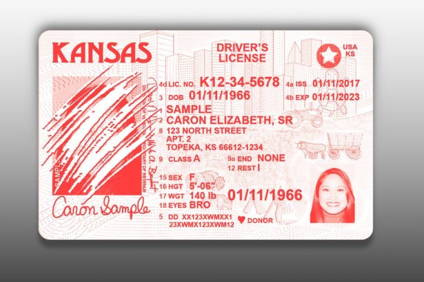 Red State Residents In Chaos After Lawmakers Yank Their Driver’s Licenses, Birth Certificates