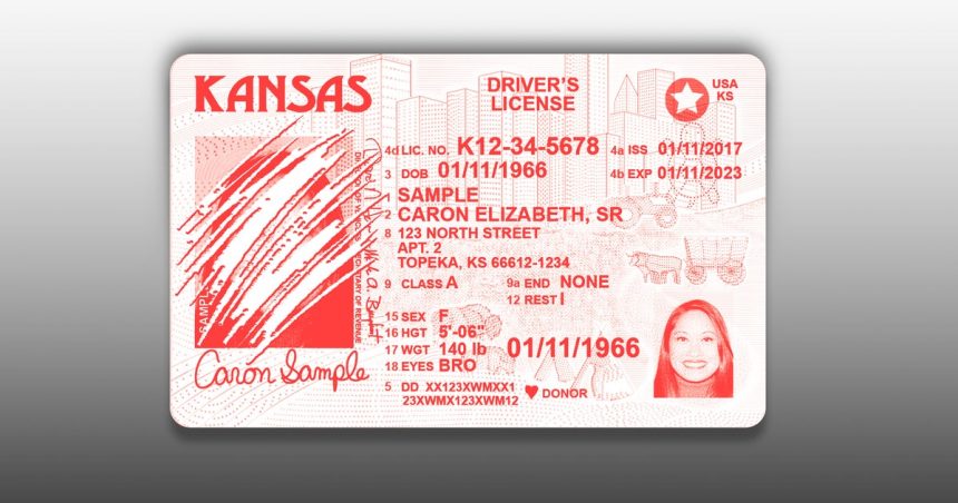 Red State Residents In Chaos After Lawmakers Yank Their Driver’s Licenses, Birth Certificates