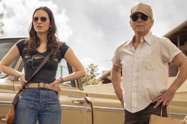 Redford Tribute, Hope for Joe & Emma?