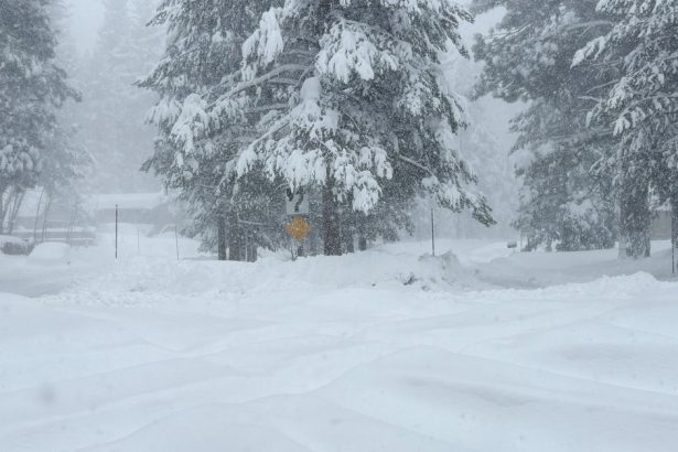 Rescuers Push Through Winter Storm To 6 Survivors Of California Avalanche. 9 Others Are Missing.