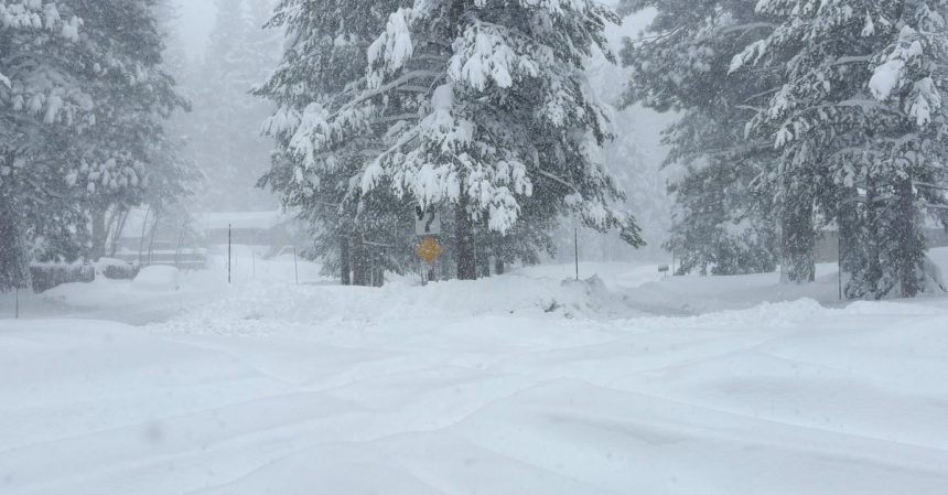 Rescuers Push Through Winter Storm To 6 Survivors Of California Avalanche. 9 Others Are Missing.