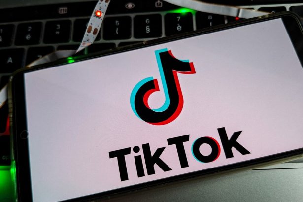 Researchers debunk TikTok censorship claims about ICE and Epstein : NPR
