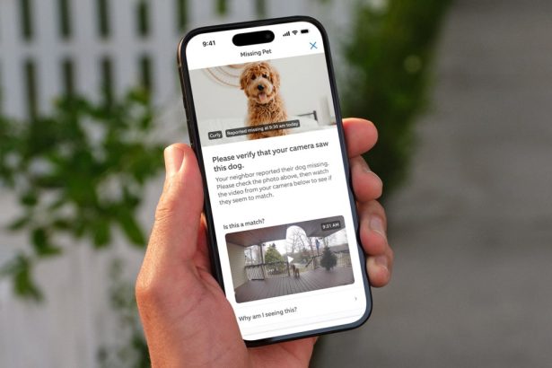 Ring brings its ‘Search Party’ feature for finding lost dogs to non-Ring camera owners