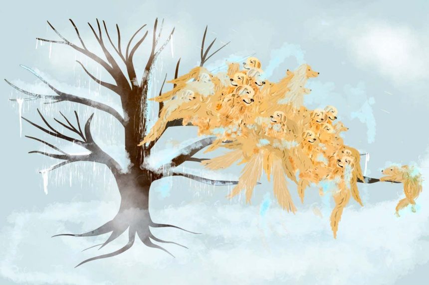 ‘Roughly 109.5 golden retrievers’: a new way to measure ice