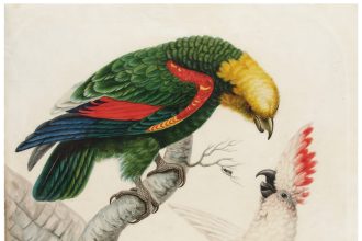 ‘Sarah Stone’s Unseen World’ Highlights Avian Paintings by an 18th-Century Talent — Colossal