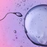 Scientists Caught Sperm Ignoring a Major Physical Law : ScienceAlert