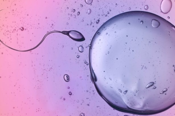 Scientists Caught Sperm Ignoring a Major Physical Law : ScienceAlert