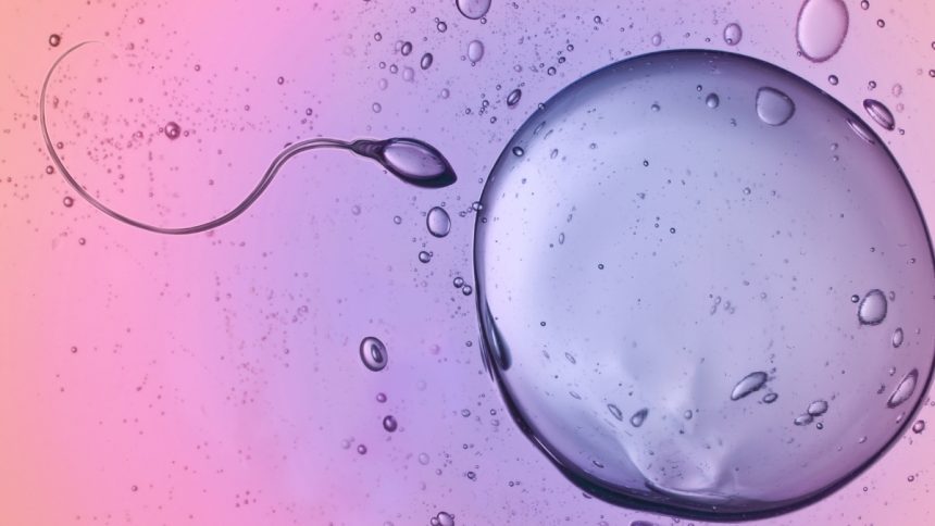 Scientists Caught Sperm Ignoring a Major Physical Law : ScienceAlert