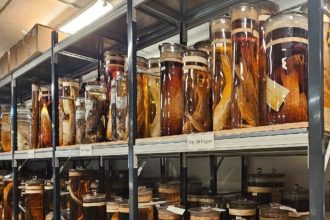 Scientists Fired Lasers at Charles Darwin’s Priceless Specimens. Here’s Why. : ScienceAlert