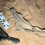 Scientists identify new spinosaurid, Moderna flu shot back on track, universal inhaled vaccine shows promise