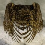 See the Best of Nearly Half a Million Entries to the Sony World Photography Awards — Colossal