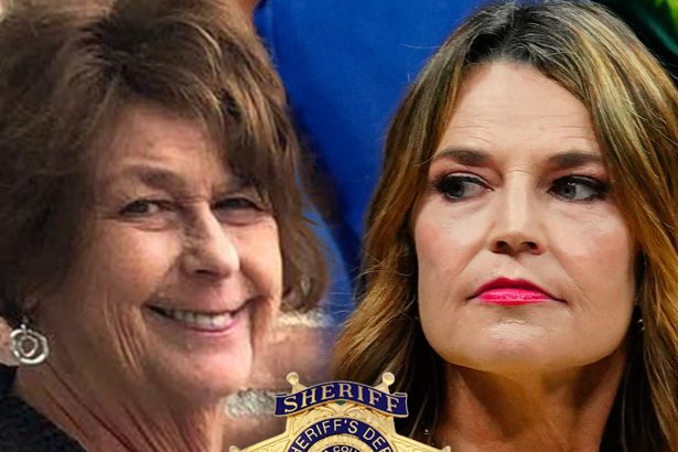 Sheriffs Say There’s Still No Persons of Interest or Suspects In Nancy Guthrie Case