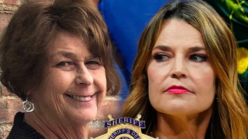 Sheriffs Say There’s Still No Persons of Interest or Suspects In Nancy Guthrie Case