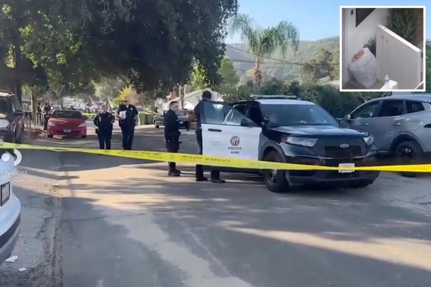 Shocking footage shows horrifying moment knife-wielding ‘psychopath’ neighbor stabs girl, 10, and grandfather