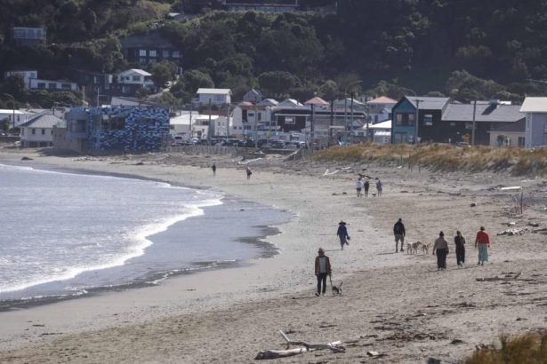 Smell from massive Wellington sewage spill could get worse