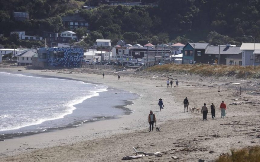 Smell from massive Wellington sewage spill could get worse
