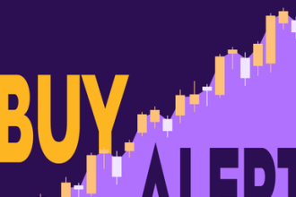 Solaris Stock Is Up 100% This Past Year, and One Fund Is Betting  Million on More Growth