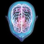 Spaceflight Can Alter The Position of The Human Brain, Study Finds : ScienceAlert