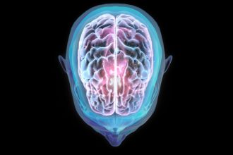 Spaceflight Can Alter The Position of The Human Brain, Study Finds : ScienceAlert