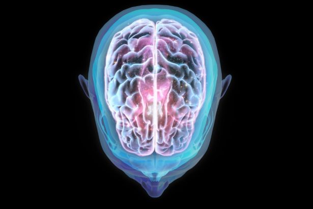 Spaceflight Can Alter The Position of The Human Brain, Study Finds : ScienceAlert