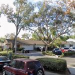 Stephen Demaro arrested for stabbing wife Debora to death in San Juan Capistrano home