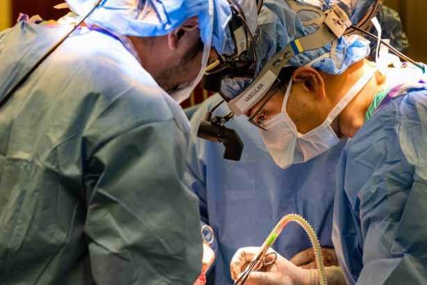 Surgeons Kept a Man Alive With No Lungs For 48 Hours. Here’s How. : ScienceAlert