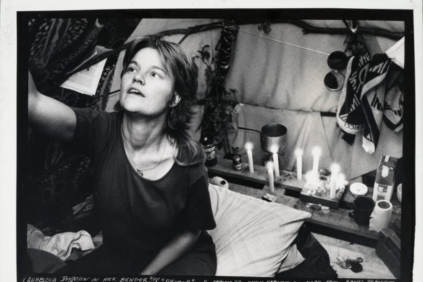 The Art and Life of Susan Kleckner