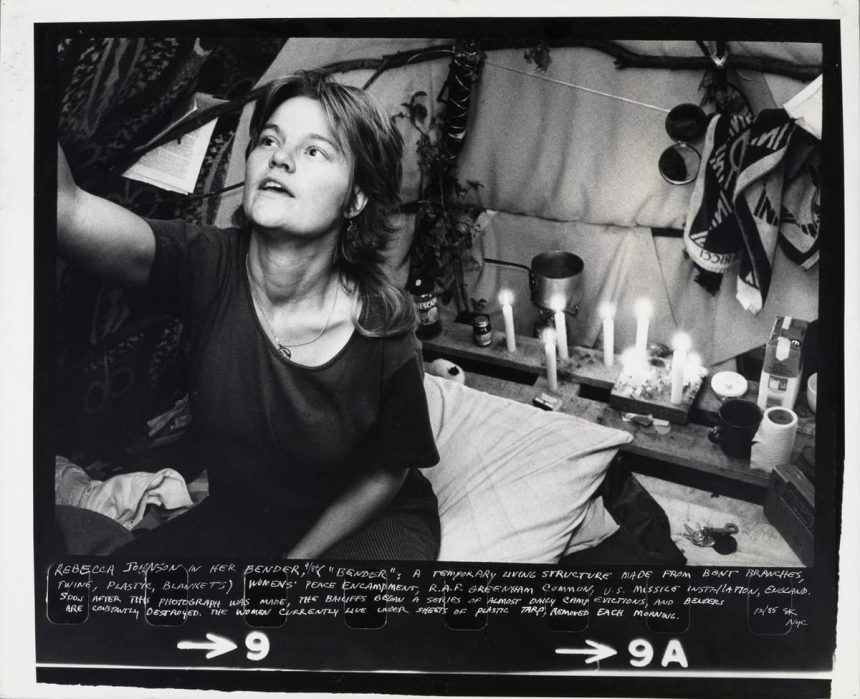 The Art and Life of Susan Kleckner