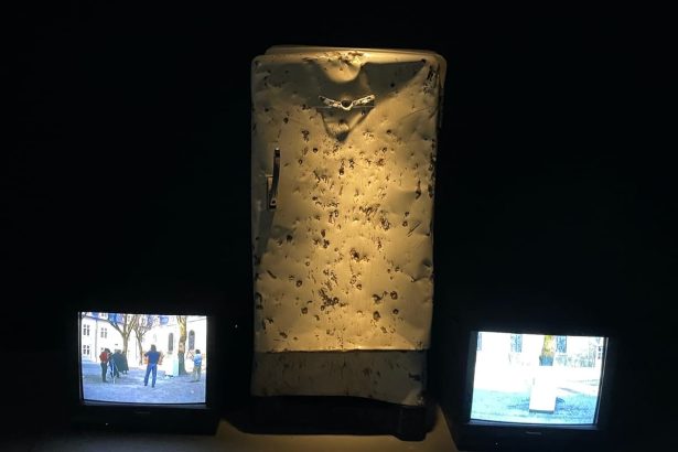 The Disappearing Art of Iberian Democracy