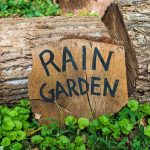 The Earth911 Rain Garden Installation Guide