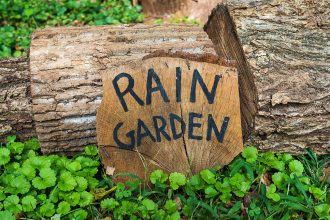 The Earth911 Rain Garden Installation Guide