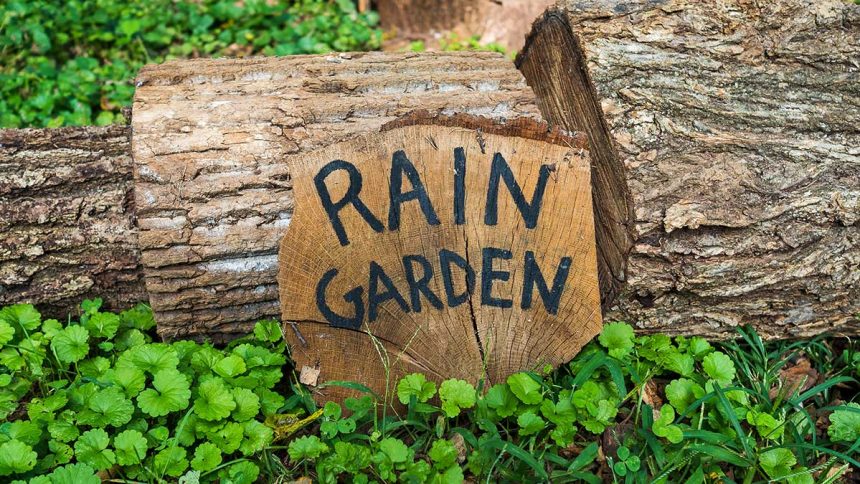 The Earth911 Rain Garden Installation Guide