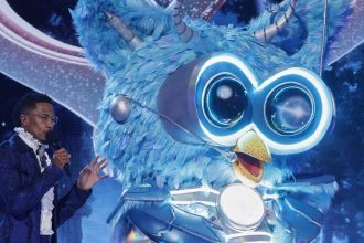 The Masked Singer Season 14 Episode 6 Recap: Owl Revealed