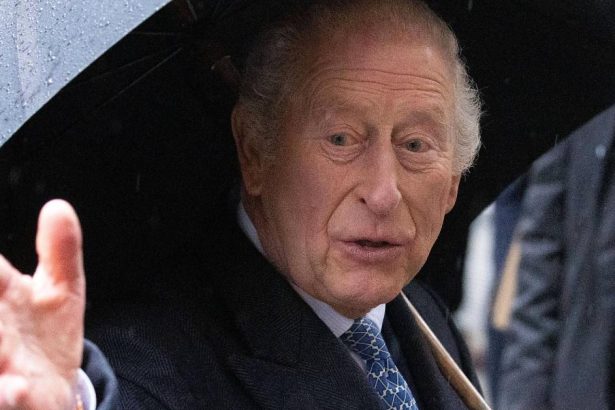The Non-Royal Cancer Battling King Charles is Leaning on Revealed