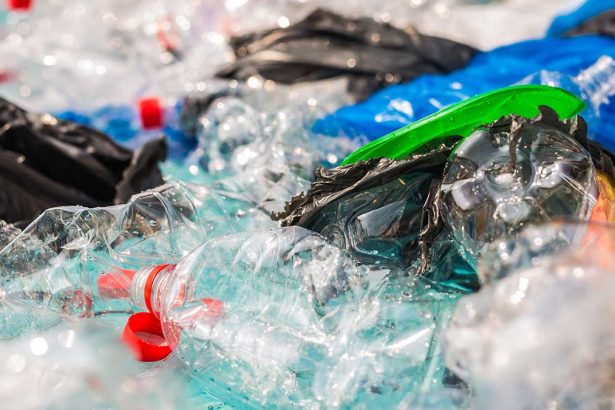 The State of Plastic Bans in the United States