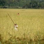 The US government says it is falling short on its legal duties to tribal nations