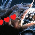 The Weirdest Love Rituals in The Animal Kingdom : ScienceAlert